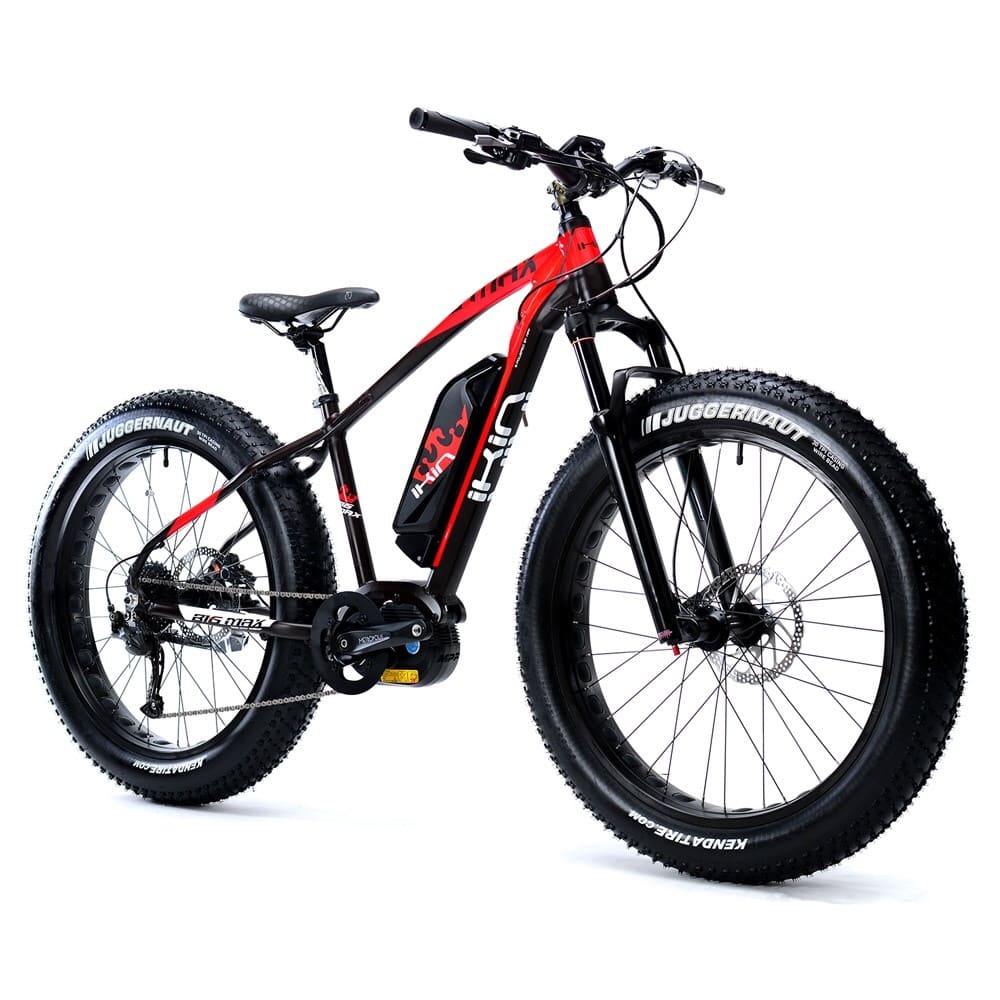 ebike 創星 innovative 樂享學 胖胎電動輔助自行車